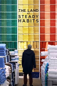 The Land of Steady Habits (2017)